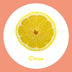 6x Dettol Handzeep Antibacterieel Navulling Citrus 9 6x Dettol Handzeep Antibacterieel Navulling Citrus -Plein 1014569 4