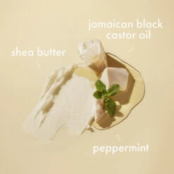 Shea Moisture Jamaican Black Castor Oil Strenghten & Restore Conditioner 8 Shea Moisture Jamaican Black Castor Oil Strenghten & Restore Conditioner -Plein 1049823 3