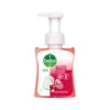 6x Dettol Foam Handzeep Rozen & Kers 2 6x Dettol Foam Handzeep Rozen & Kers -Plein 1073931