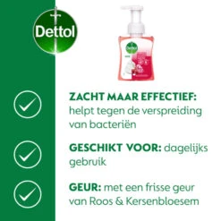 6x Dettol Foam Handzeep Rozen & Kers -Plein 1073931 4