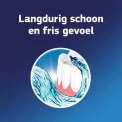 3x Fixodent Reinigingstabletten Complete Care 11 3x Fixodent Reinigingstabletten Complete Care -Plein 998573 4 1